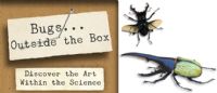 Exposition Bugs... Outside the Box. Du 22 octobre 2011 au 16 janvier 2012. 